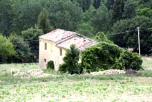 Old Farmhouse , surrounded by sunflowers and vineyards.
