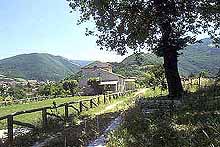 Path.jpg (22673 byte)