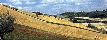 Monterubbiano8.JPG (16746 byte)